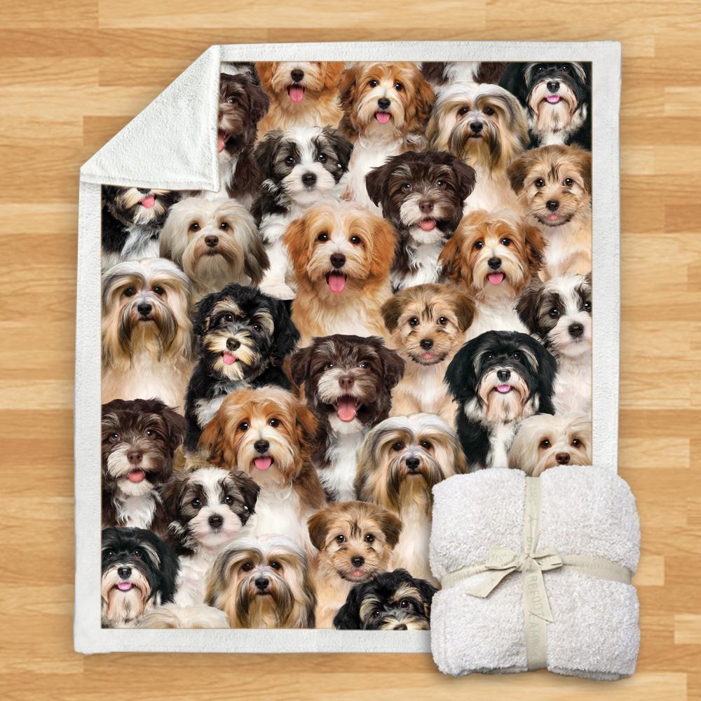 KTX-114067 Modern Printed Flannel Blanket for Pets - Multiple Sizes Available (120x150CM, 150x200CM)