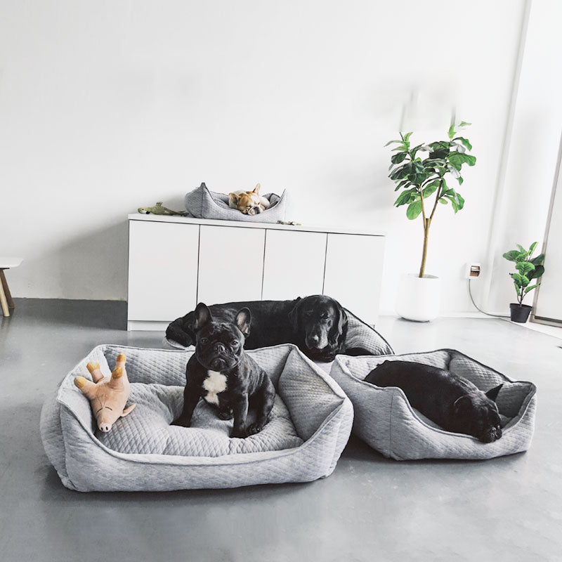 KTX-115347 Cozy Nordic Gray Teddy for Golden Retrievers - Autumn and Winter L-70*56 Suitable for 98 lbs