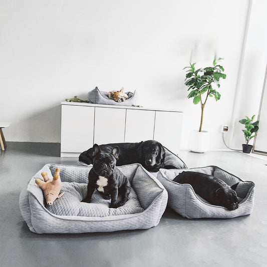 KTX-115347 Cozy Nordic Gray Teddy for Golden Retrievers - Autumn and Winter L-70*56 Suitable for 98 lbs