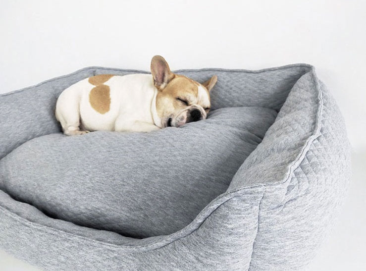 KTX-115347 Cozy Nordic Gray Teddy for Golden Retrievers - Autumn and Winter L-70*56 Suitable for 98 lbs