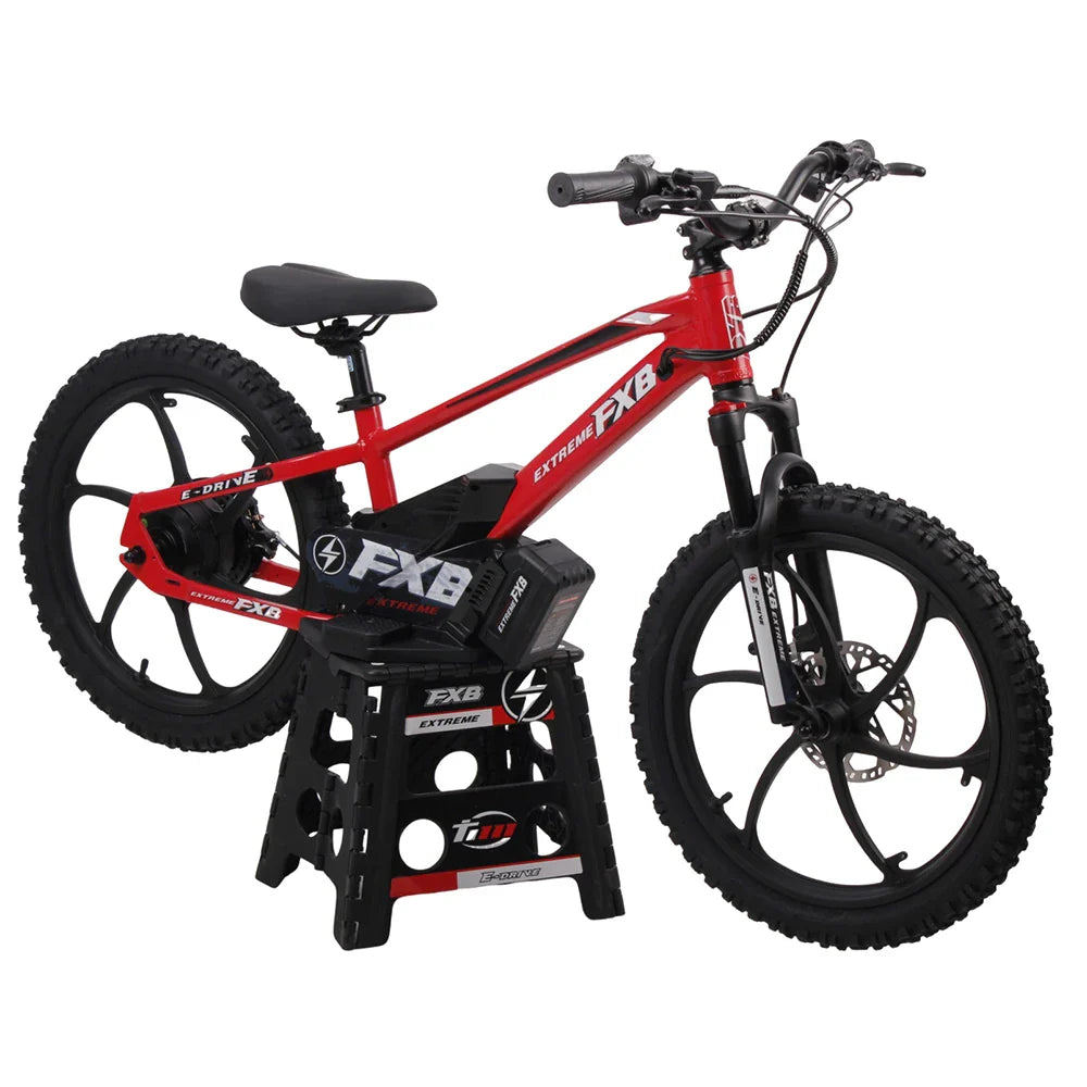 KTX-115475 20-Inch Electric Balance Bike for Kids with Brushless Hub Motor and Adjustable Hydraulic Fork