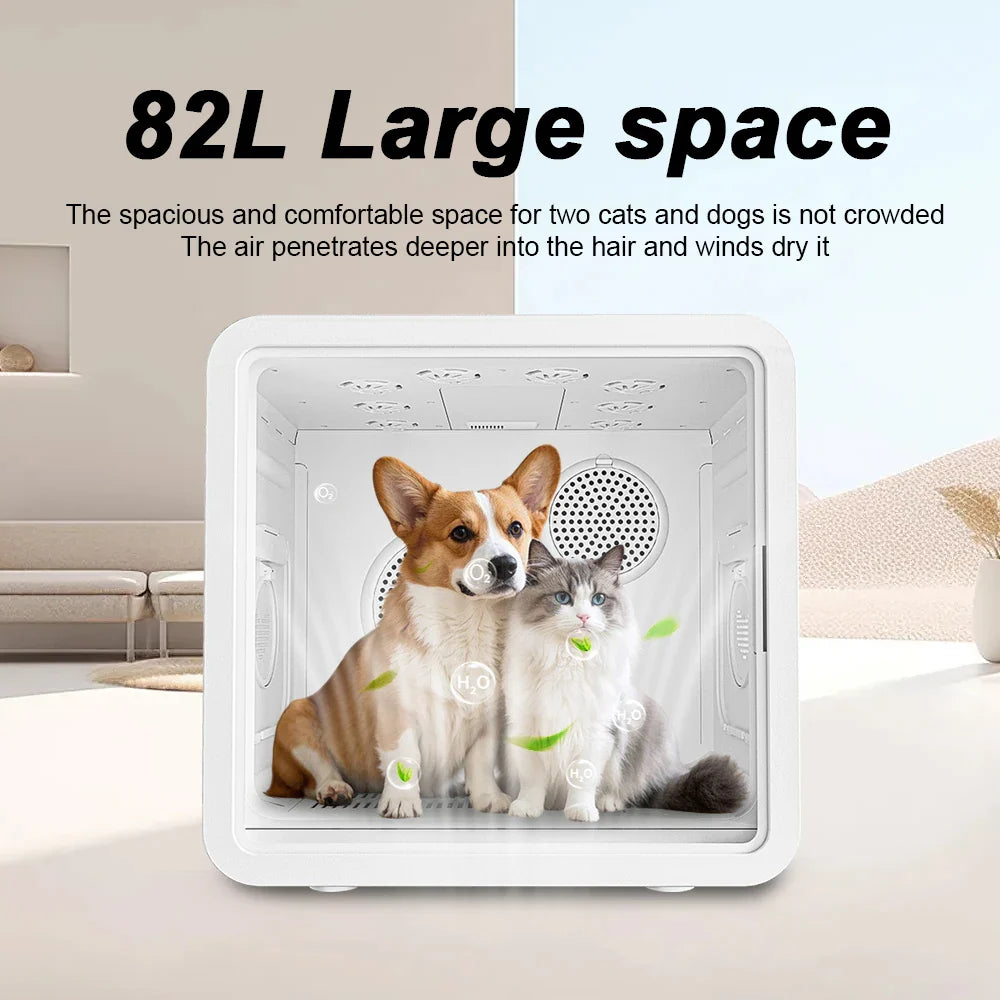 KTX-123219 Temperature Controlled Quiet Pet Dryer Box for Small Dogs and Cats - 110-240V ABS Plastic