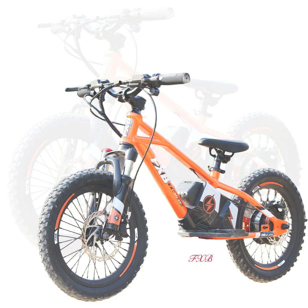 KTX-132435 16-Inch Balance Bike for Toddlers - Electric BMX Cycle for Kids with Disc Brake & Rear Hub Motor