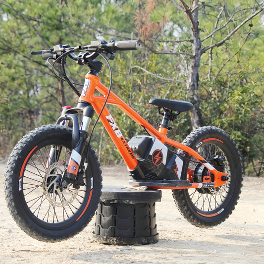 KTX-132435 16-Inch Balance Bike for Toddlers - Electric BMX Cycle for Kids with Disc Brake & Rear Hub Motor