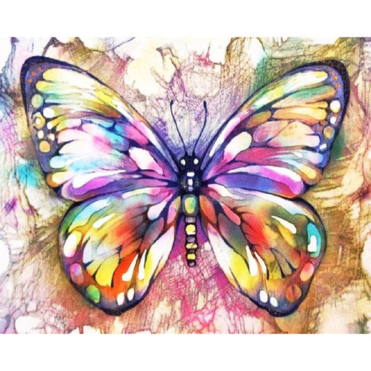 KTX-134099 Digital Oil Painting of Colorful Butterfly on Linen - 40x50CM Unframed Artwork