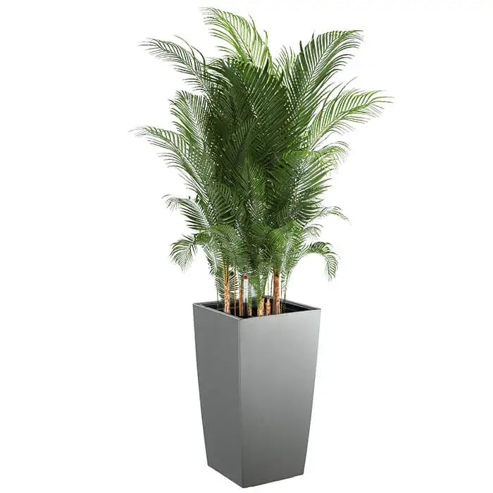 KTX-136979 Large Outdoor Plant Pots for Preserved Roses - Decorative Garden Planters