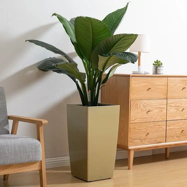 KTX-136979 Large Outdoor Plant Pots for Preserved Roses - Decorative Garden Planters