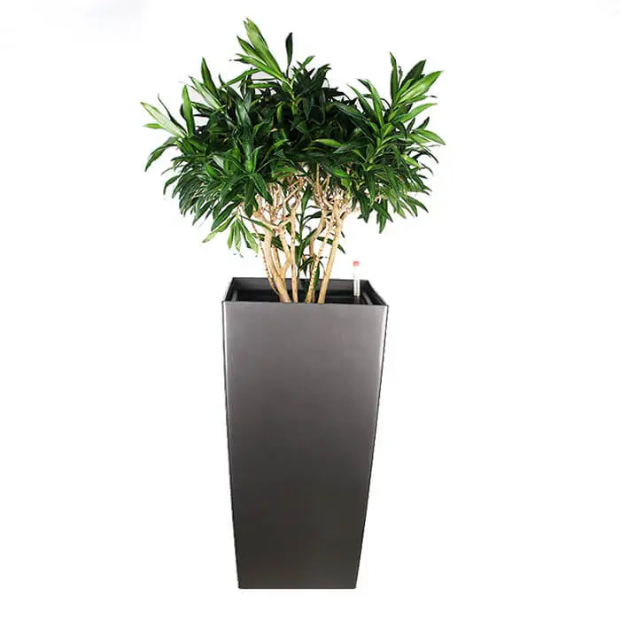 KTX-136979 Large Outdoor Plant Pots for Preserved Roses - Decorative Garden Planters