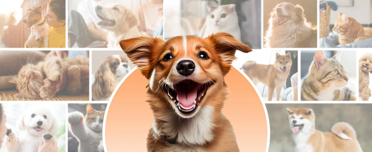 KTX-139027 Pet Hair Trimmer with 3-Mode Suction for Safe Grooming of Cats and Dogs, Eco-Friendly & Convenient Design