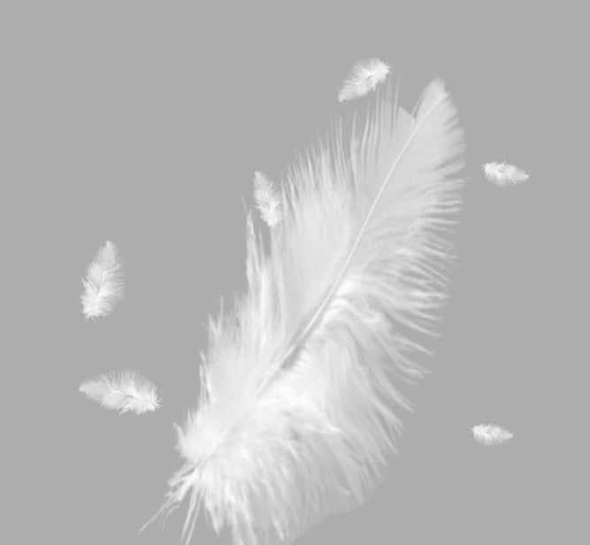 KTX-141907 Goose Feather Cotton Back Pillow - Modern Simplicity Cushion, Various Sizes Available