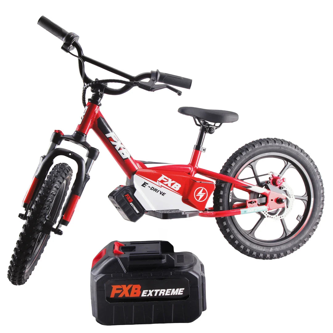 KTX-148243 16 Inch Aluminum Alloy Electric Balance Bike for Kids with Disc Brake and Lithium Battery