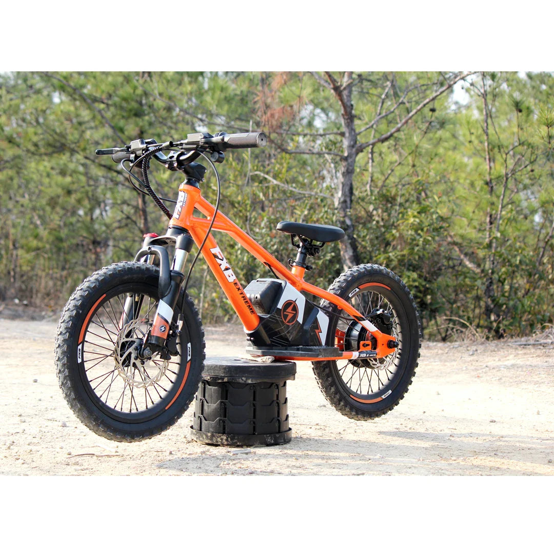 KTX-149395 16 Inch Electric Balance Bike for Kids - Aluminum Alloy, 3 Speed, Disc Brake, 36V Lithium Battery