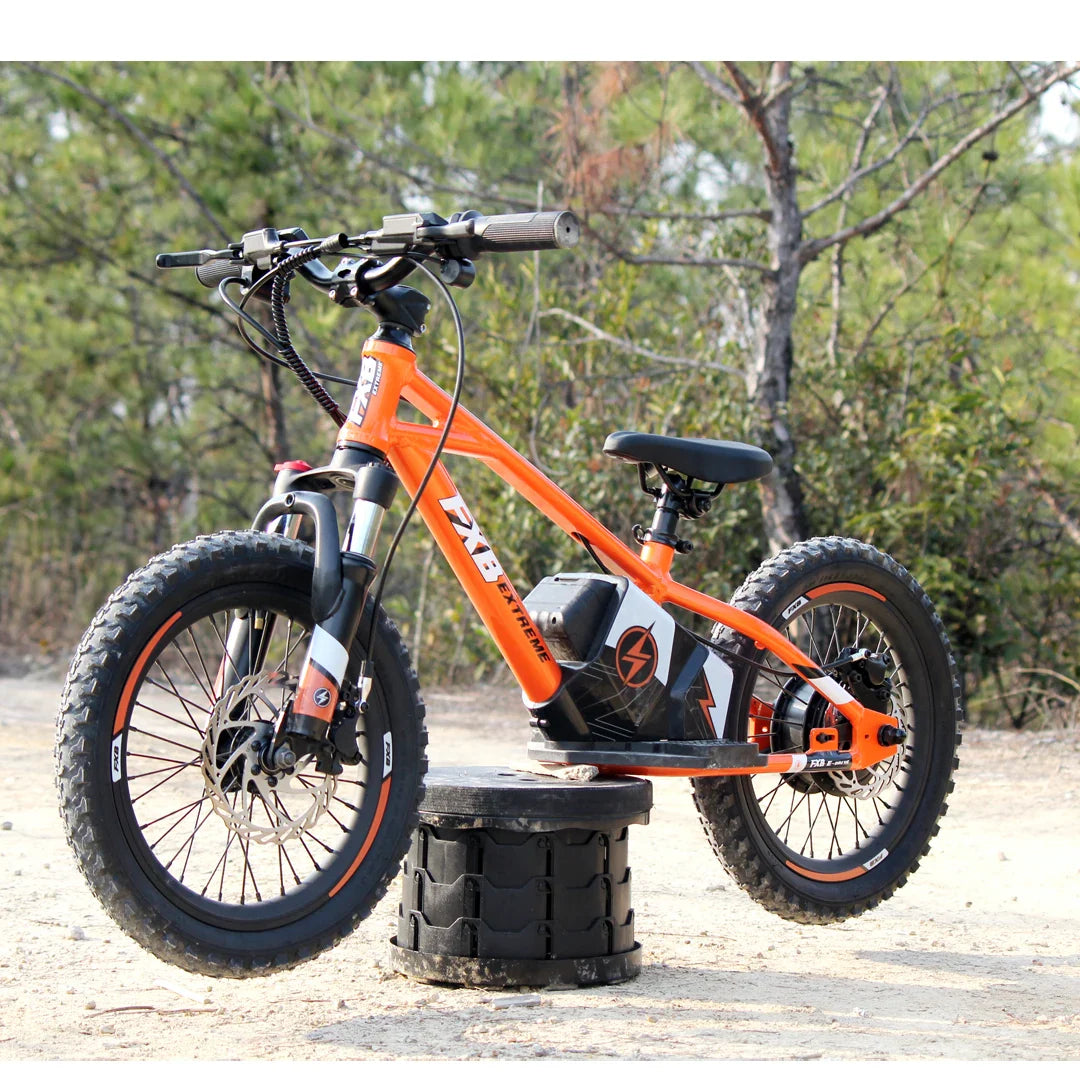 KTX-149395 16 Inch Electric Balance Bike for Kids - Aluminum Alloy, 3 Speed, Disc Brake, 36V Lithium Battery