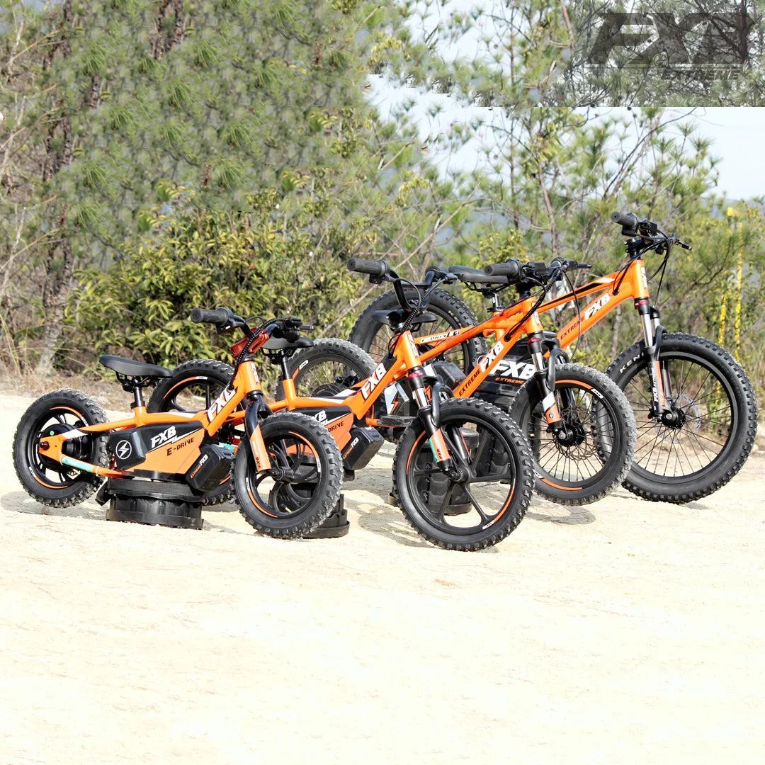 KTX-149395 16 Inch Electric Balance Bike for Kids - Aluminum Alloy, 3 Speed, Disc Brake, 36V Lithium Battery