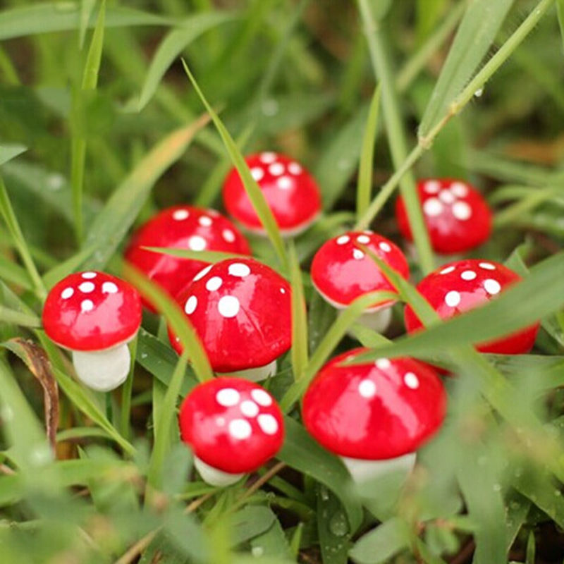 KTX-152211 Small Red Moss Mushroom Decoration Simulation for Miniature Gardens