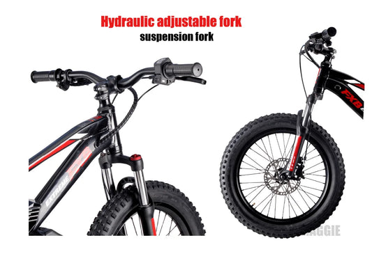 KTX-182163 20 Inch Electric Balance Bike for Kids 5-12 Years Old, 800W Power, 3 Speed, Aluminum Alloy Frame, Lithium Battery Powered