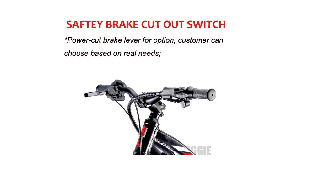 KTX-182163 20 Inch Electric Balance Bike for Kids 5-12 Years Old, 800W Power, 3 Speed, Aluminum Alloy Frame, Lithium Battery Powered