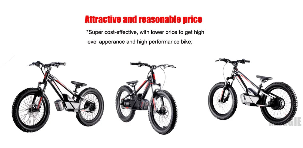 KTX-182163 20 Inch Electric Balance Bike for Kids 5-12 Years Old, 800W Power, 3 Speed, Aluminum Alloy Frame, Lithium Battery Powered