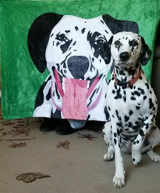 KTX-196179 Custom Flannel Knee Blanket with Personalized Design, Soft Coral Carpet, Available in Multiple Sizes