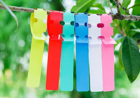 KTX-201939 Durable PVC Garden Labels - 21cm x 2cm Plant Markers for Easy Identification