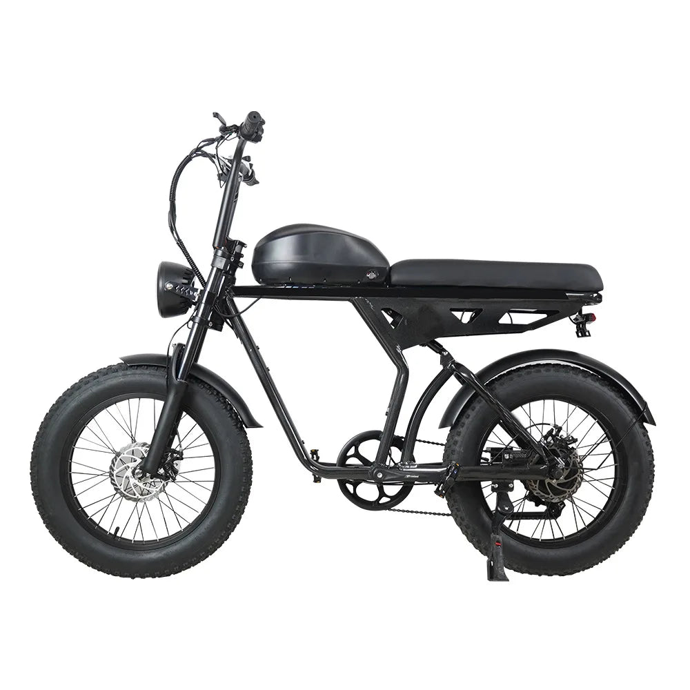 KTX-206931 20-Inch Aluminum Alloy E-FAT Mountain Bike with 750W Motor and Integrated Lithium Battery