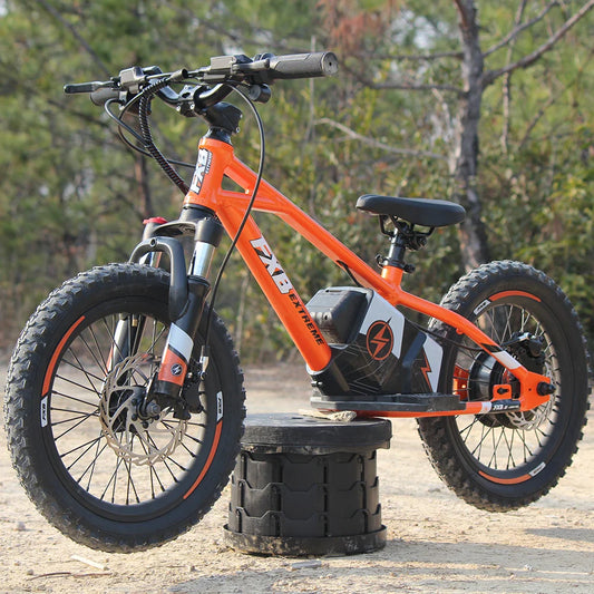 KTX-231891 Electric 36V 5AH 16-Inch No-Pedal Bike for Kids Ages 5-8 with 3-Speed and Hydraulic Disc Brakes