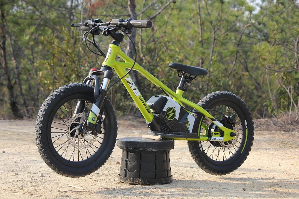 KTX-231891 Electric 36V 5AH 16-Inch No-Pedal Bike for Kids Ages 5-8 with 3-Speed and Hydraulic Disc Brakes