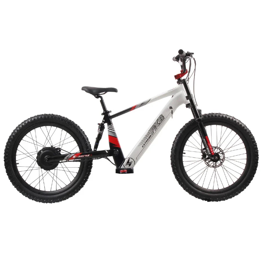 KTX-246547 Kids Electric Bike with 1200W Motor, 36V Battery, 20 & 24 Inch Fat Tires, Hydraulic Disc Brakes, 3 Speed Options