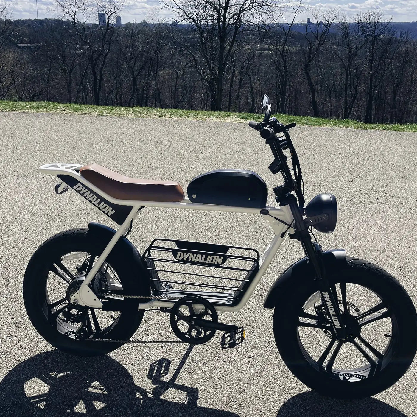 KTX-250515 48V 1000W Adult Electric Full Suspension Mountain Bike - 20 Inch, 7-Speed Gear, Lithium Battery