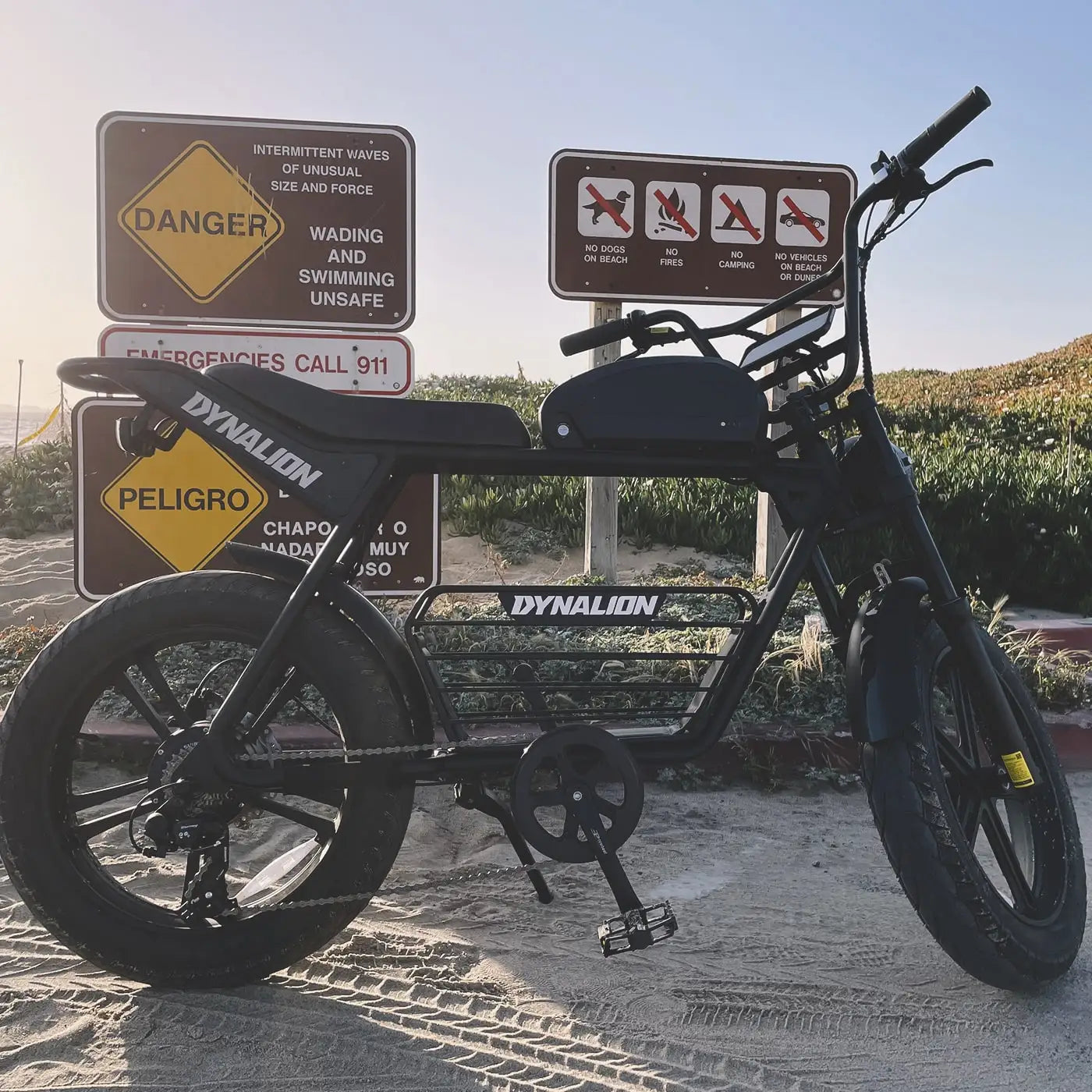 KTX-250515 48V 1000W Adult Electric Full Suspension Mountain Bike - 20 Inch, 7-Speed Gear, Lithium Battery