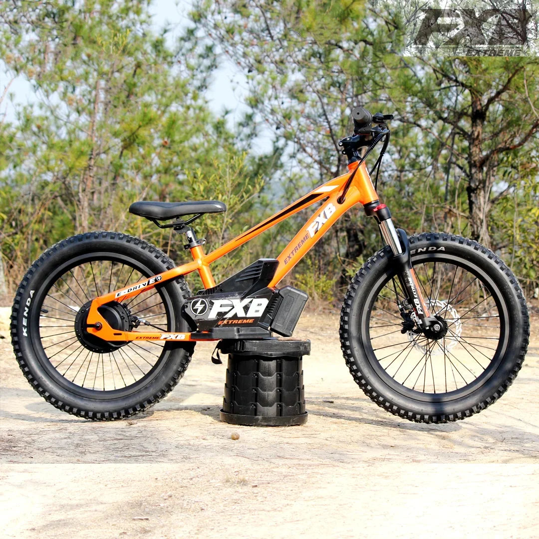 KTX-281619 36V 100Ah Electric City Bicycle with 800W Rear Hub Motor, Aluminum Alloy Frame, 3-Speed Gears, Hydraulic Disc Brake, Hidden Lithium Battery