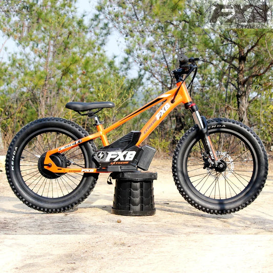 KTX-281619 36V 100Ah Electric City Bicycle with 800W Rear Hub Motor, Aluminum Alloy Frame, 3-Speed Gears, Hydraulic Disc Brake, Hidden Lithium Battery