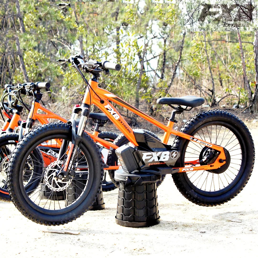 KTX-281619 36V 100Ah Electric City Bicycle with 800W Rear Hub Motor, Aluminum Alloy Frame, 3-Speed Gears, Hydraulic Disc Brake, Hidden Lithium Battery