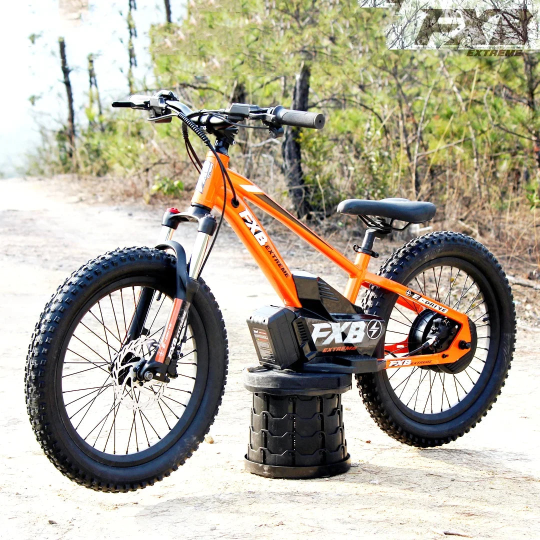 KTX-281619 36V 100Ah Electric City Bicycle with 800W Rear Hub Motor, Aluminum Alloy Frame, 3-Speed Gears, Hydraulic Disc Brake, Hidden Lithium Battery