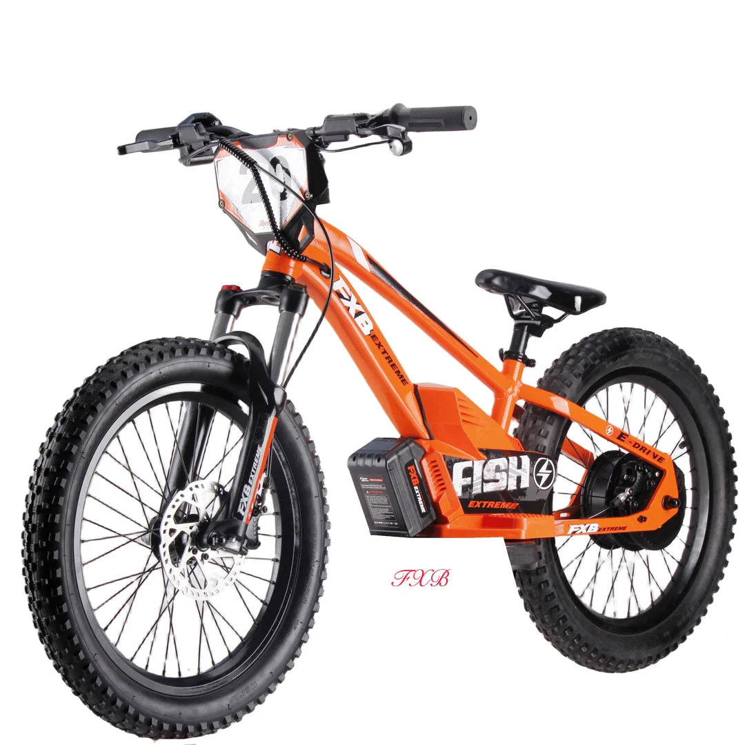 KTX-281619 36V 100Ah Electric City Bicycle with 800W Rear Hub Motor, Aluminum Alloy Frame, 3-Speed Gears, Hydraulic Disc Brake, Hidden Lithium Battery