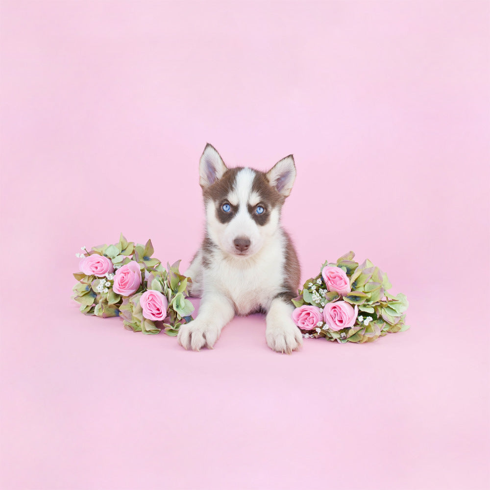 KTX-285971 3D Digital Printed Modal Fiber Bedding Set - Various Sizes Available