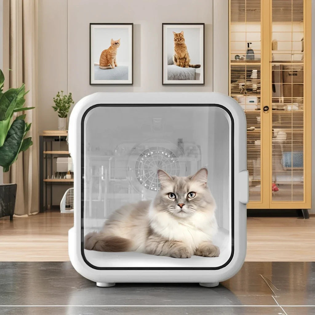 KTX-304019 Temperature Control Pet Dryer Box for Cats and Dogs, 220-240V, Compact Design