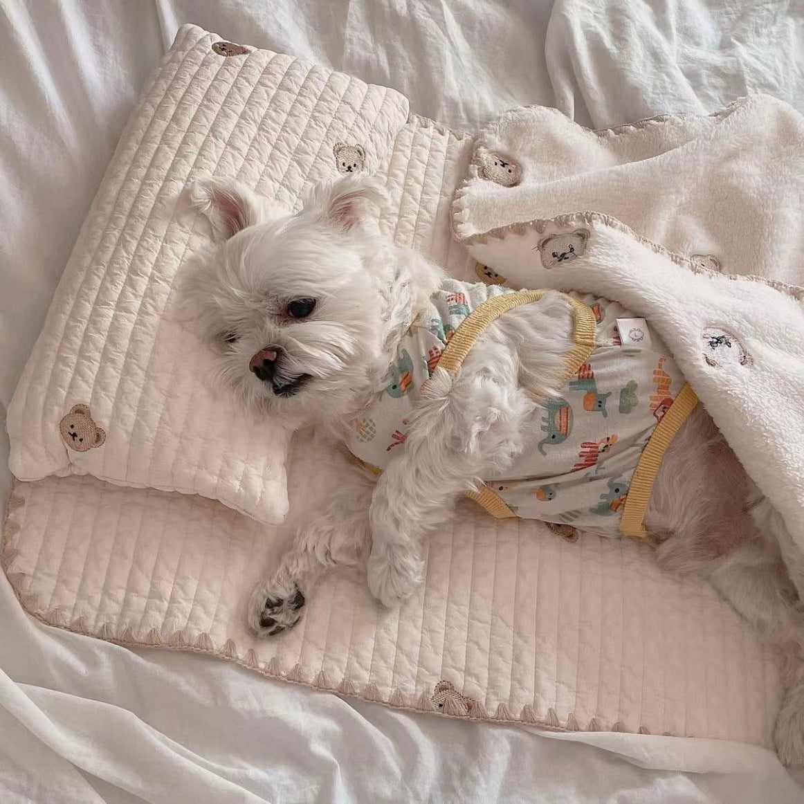 KTX-310803 Removable and Washable Fashion Square Mat Dog Bed Set with Pillow, Mattress, and Comforter