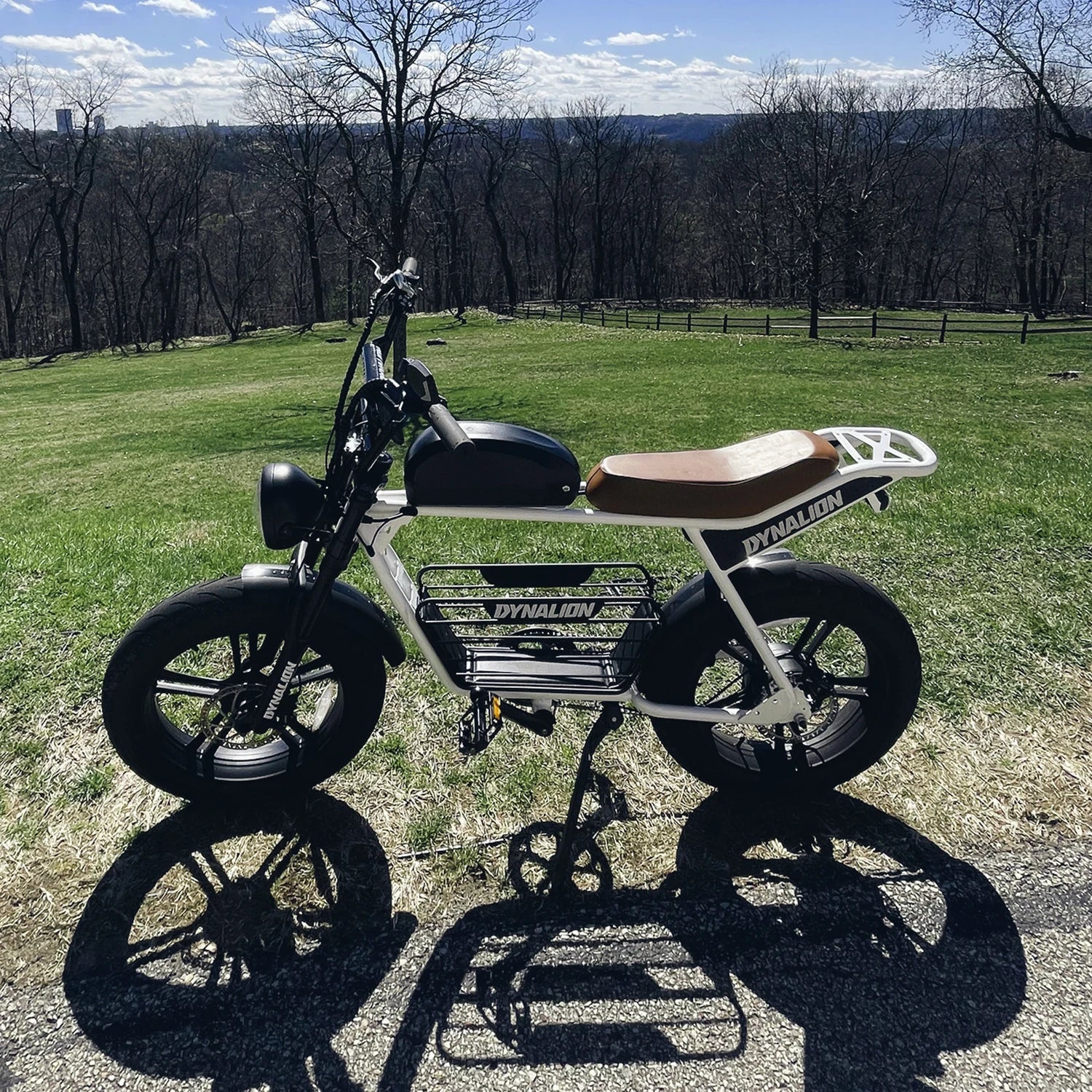 KTX-316051 1000W Electric Fat Tire Mountain Bike with 48V 16Ah Long Range Battery and 7-Speed Gear System