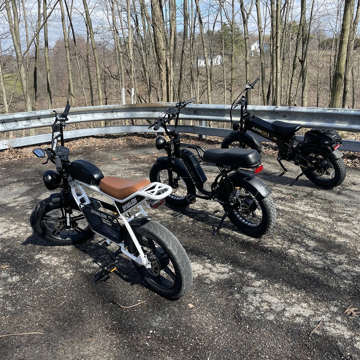 KTX-316051 1000W Electric Fat Tire Mountain Bike with 48V 16Ah Long Range Battery and 7-Speed Gear System