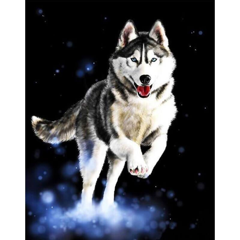 KTX-316051 Huskie Themed Canvas Art for Home or Office Decor