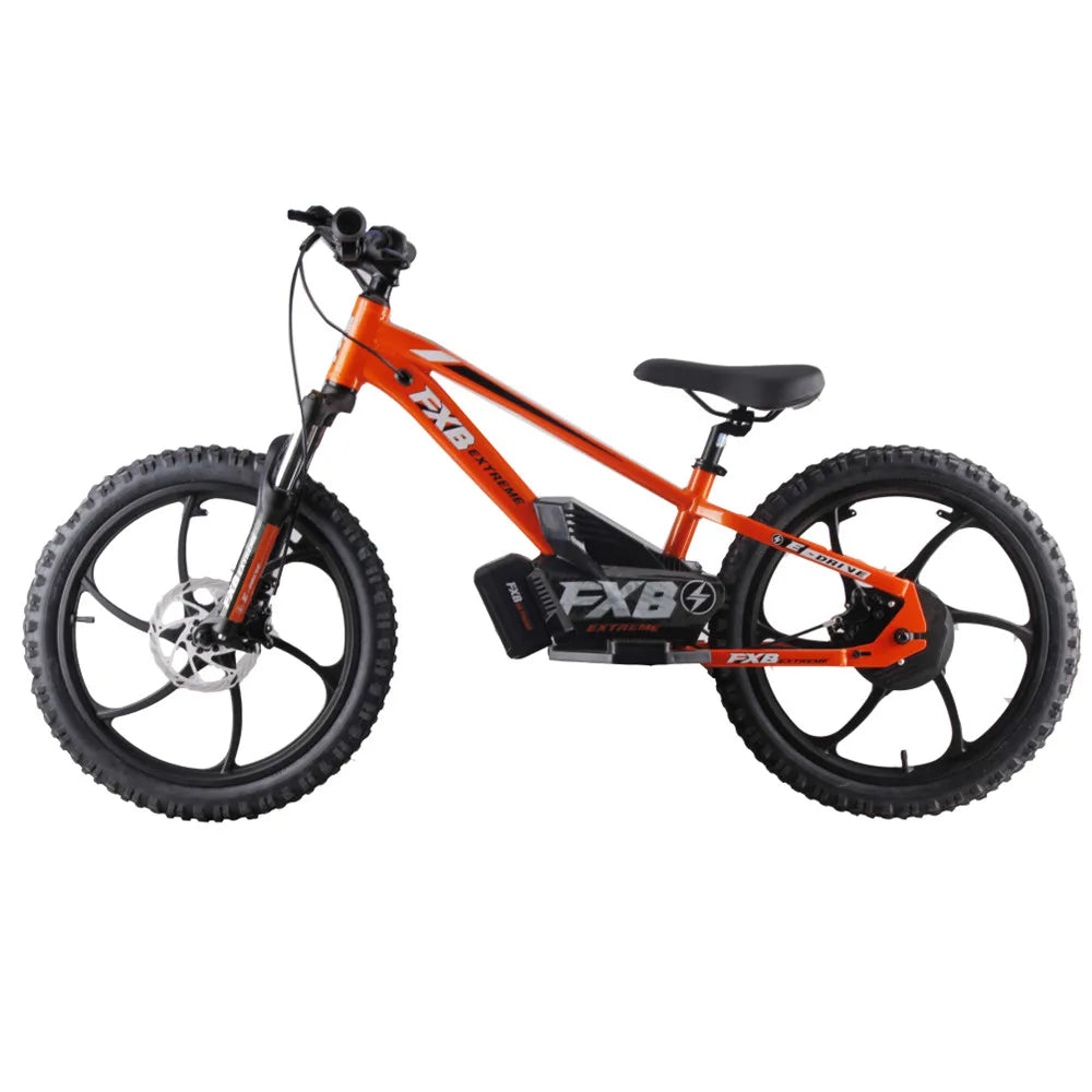KTX-346003 20 Inch Electric BMX Bicycle for Kids with 600W Hub Motor, Hydraulic Suspension, 3 Speeds
