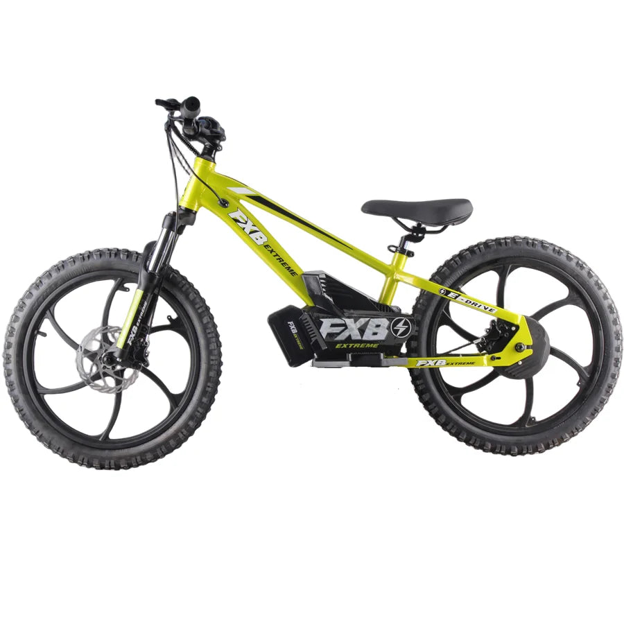KTX-346003 20 Inch Electric BMX Bicycle for Kids with 600W Hub Motor, Hydraulic Suspension, 3 Speeds