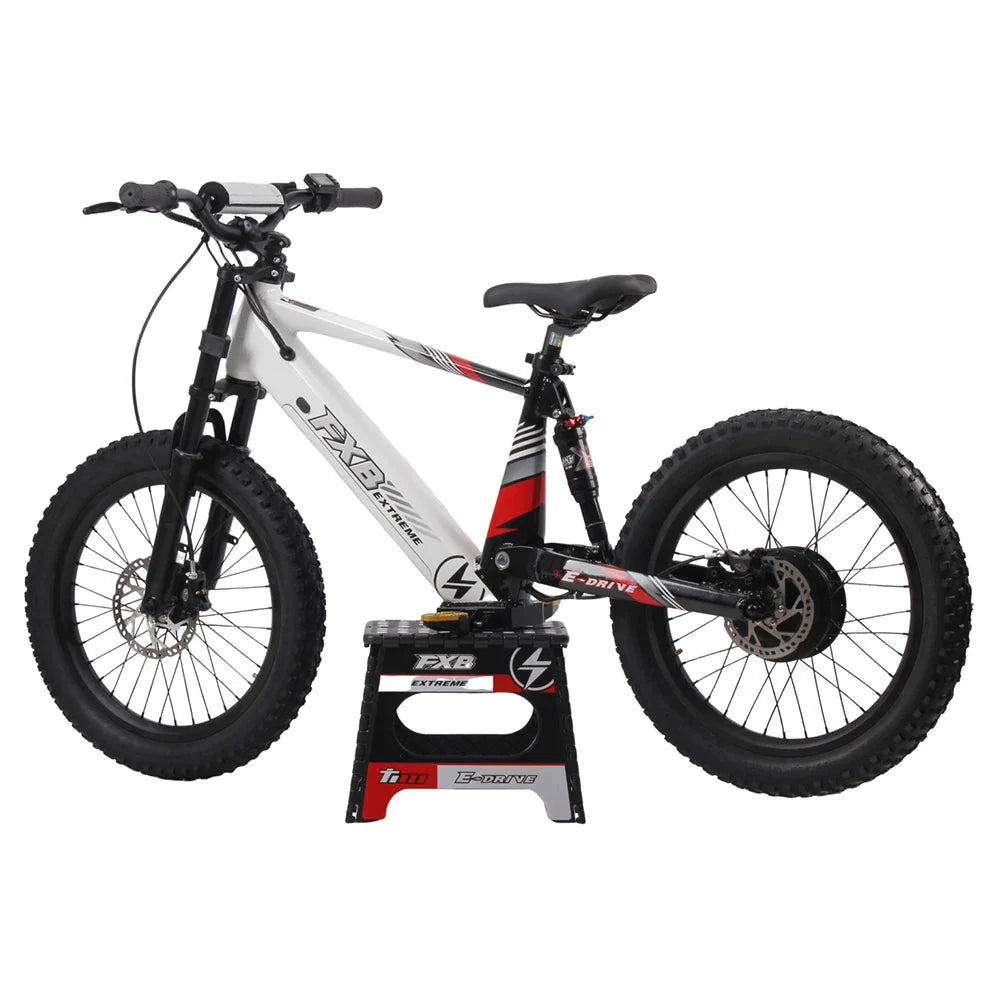 KTX-360659 20-Inch Electric Balance Bike for Kids, 36V 800W/1200W Motor, Aluminum Frame, Off-Road FAT Tires, Hydraulic Brakes