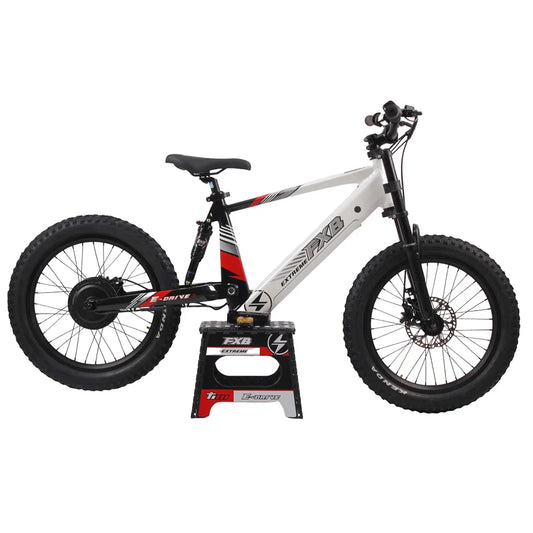 KTX-360659 20-Inch Electric Balance Bike for Kids, 36V 800W/1200W Motor, Aluminum Frame, Off-Road FAT Tires, Hydraulic Brakes