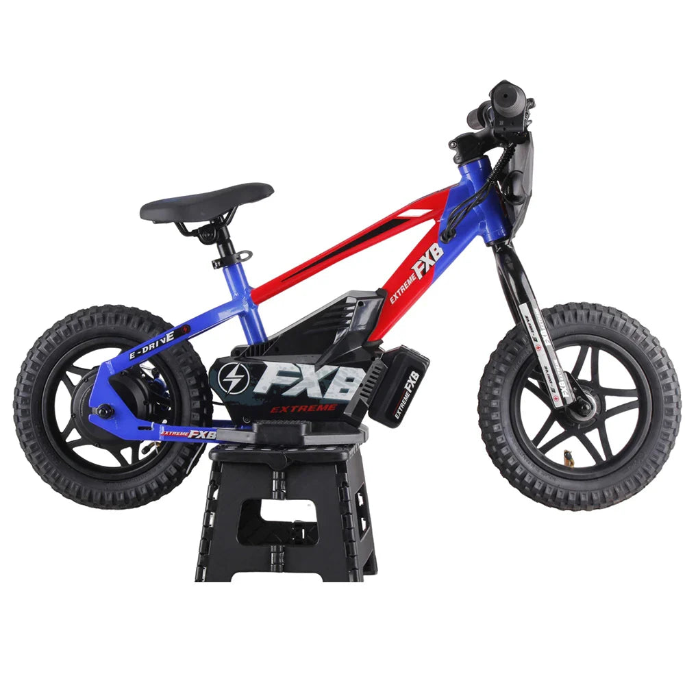 KTX-361811 Electric Balance Bike for Kids - 36V 250W Brushless Motor, 12" Wheels, Disc Brakes, 3 Speed Options