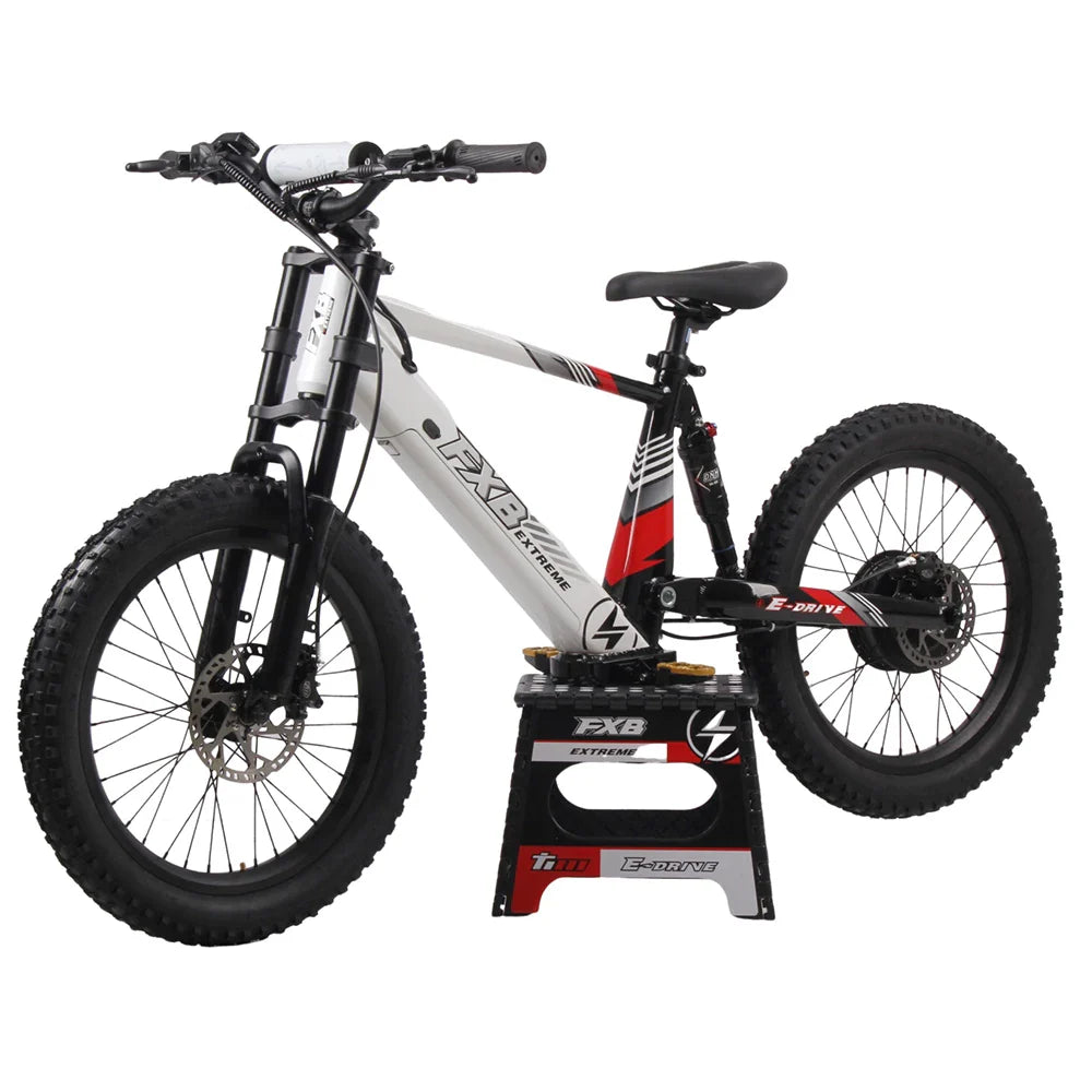KTX-377619 20 Inch Fat Tire Electric Mountain Bike, 800W 1200W, 36V 48V, 3 Speed, Hydraulic Disc Brakes, Rear Suspension