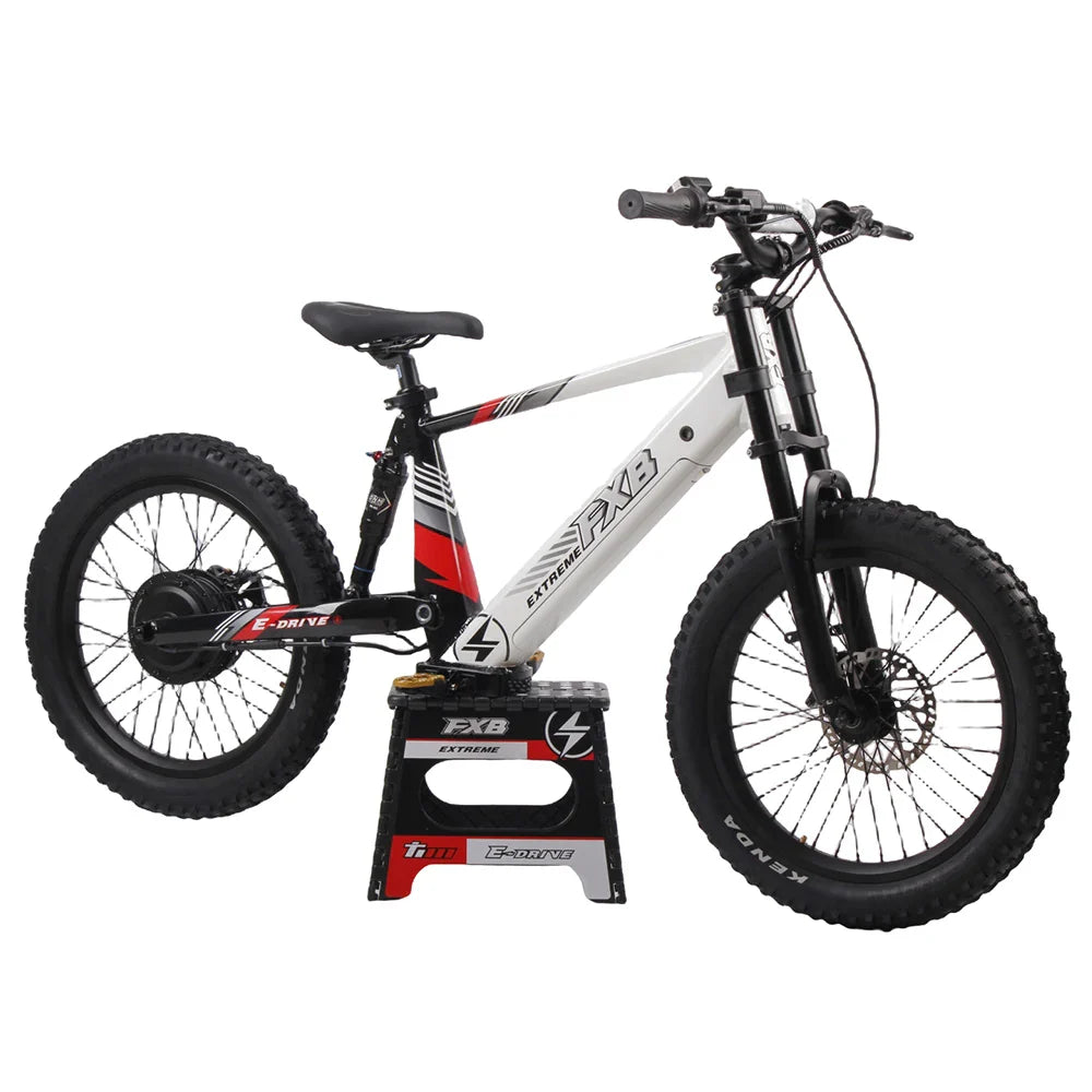 KTX-377619 20 Inch Fat Tire Electric Mountain Bike, 800W 1200W, 36V 48V, 3 Speed, Hydraulic Disc Brakes, Rear Suspension