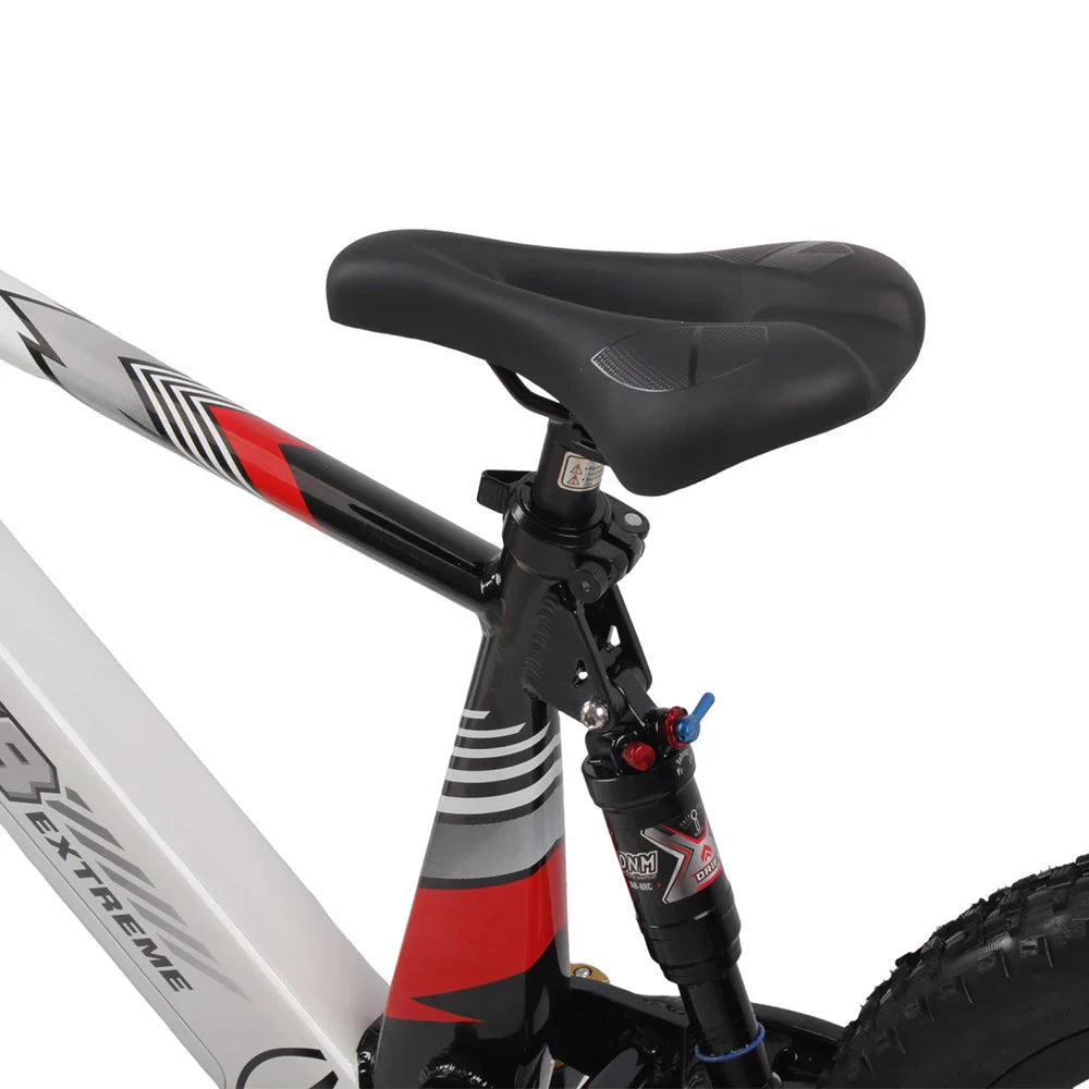 KTX-377619 20 Inch Fat Tire Electric Mountain Bike, 800W 1200W, 36V 48V, 3 Speed, Hydraulic Disc Brakes, Rear Suspension