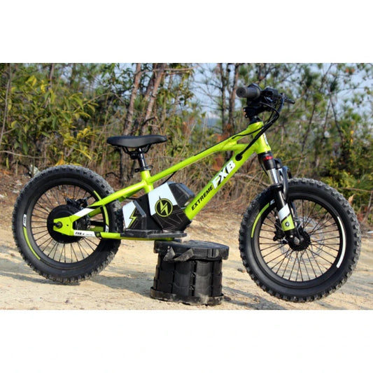 KTX-378771 Kids Motor Balance Bike 16" No Pedal Electric Bicycle with 2 Speed Options and Disc Brake
